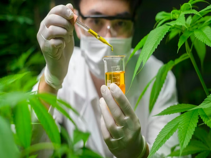 VirgoLife — science and nature combined